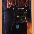 Blitzcat by Robert Westall