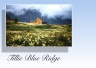 tillieblueridge