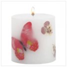 Butterflies & Flowers