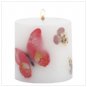 Butterflies & Flowers
