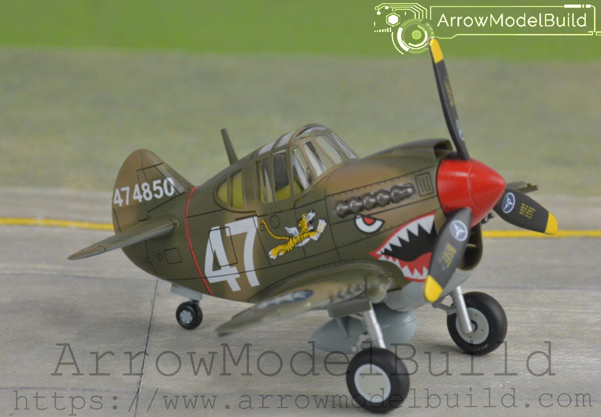 ArrowModelBuild Tiger Egg Machine P-40 Dog Built & Painted 1/72 Model Kit