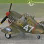 ArrowModelBuild Tiger Egg Machine P-40 Dog Built & Painted 1/72 Model Kit