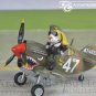 ArrowModelBuild Tiger Egg Machine P-40 Dog Built & Painted 1/72 Model Kit