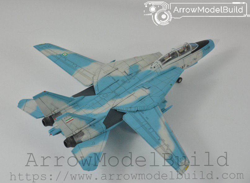 ArrowModelBuild F-14 (Custom Color) Built & Painted 1/72 Model Kit