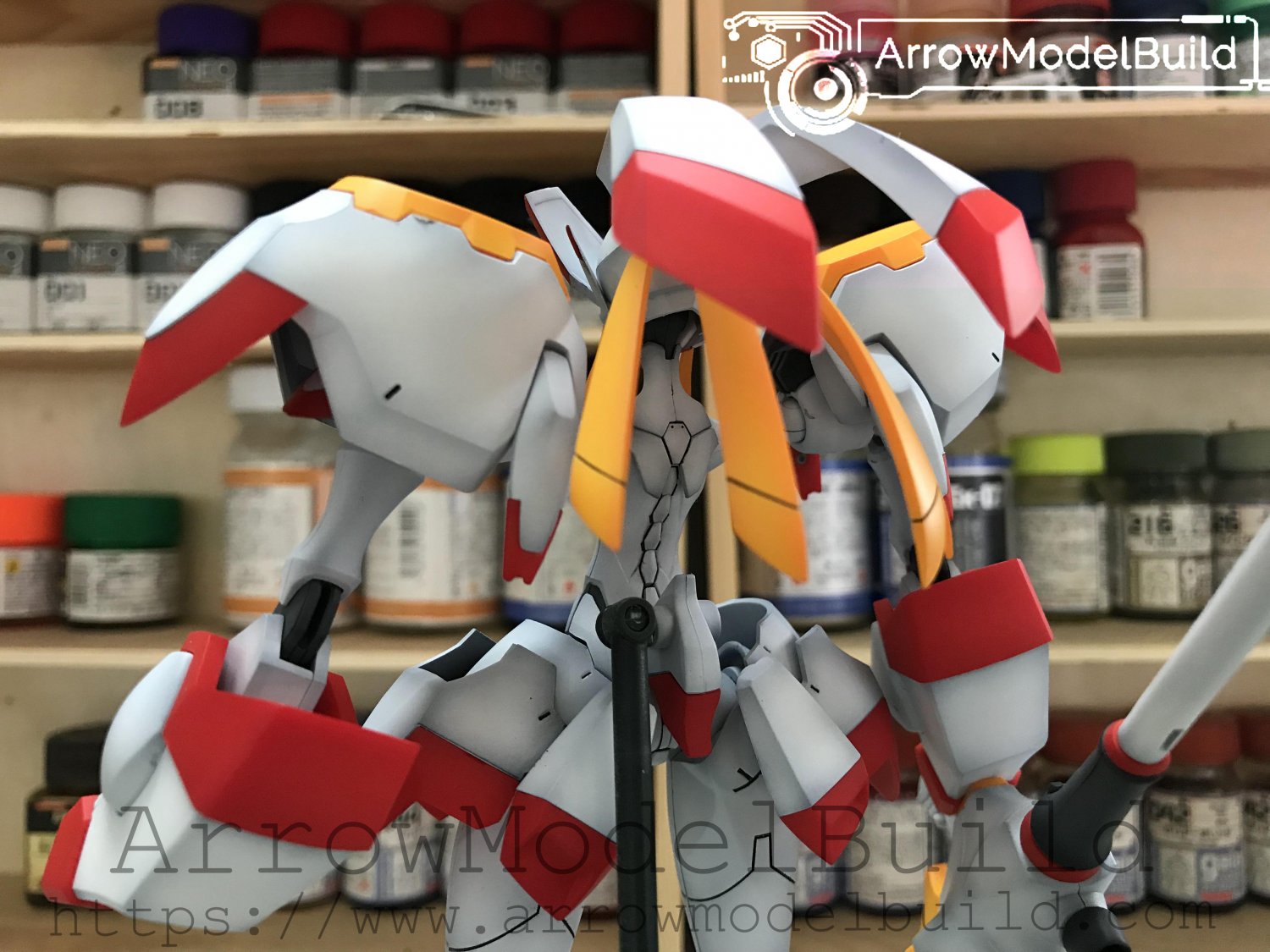 strelitzia model kit