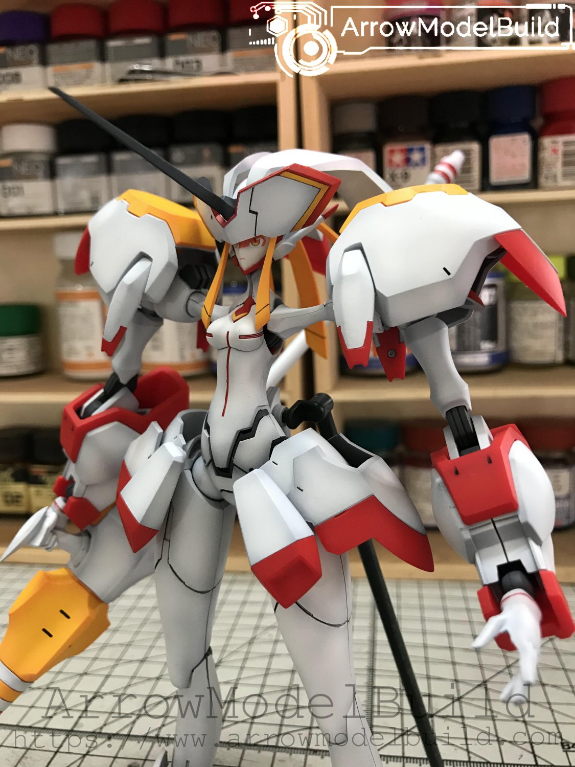 strelitzia model kit