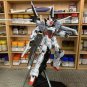 ArrowModelBuild Ex Impulse Gundam Built & Painted 1/100 Model Kit