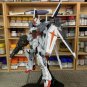 ArrowModelBuild Ex Impulse Gundam Built & Painted 1/100 Model Kit