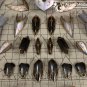 ArrowModelBuild The Legend of Heroes: Trails Moderoid Valimar Built & Painted Model Kit