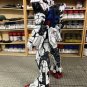 ArrowModelBuild Strike Freedom (2DPainting V3) Built & Painted PG 1/60 Model Kit
