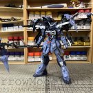 ArrowModelBuild Aile Calamity Gundam Built & Painted FM 1/100 Model Kit