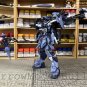 ArrowModelBuild Aile Calamity Gundam Built & Painted FM 1/100 Model Kit