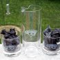 Fleischmanns Gin set 2 rocks glass & tall glass pitcher with swizzle stir stick