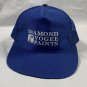 New Diamond Vogel Paints Trucker Snapback Baseball Hat Mens Blue