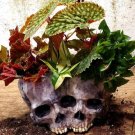 Halloween Skull Flower Pot