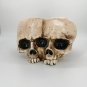 Halloween Skull Flower Pot