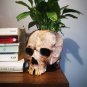 Halloween Skull Flower Pot