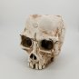 Halloween Skull Flower Pot