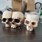 Halloween Skull Flower Pot