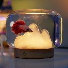 Glass Fish Tank / Living Room And Office Decoration