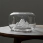 Glass Fish Tank / Living Room And Office Decoration