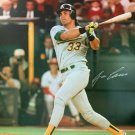 Jose Canseco Signed 16x20 Photo Oakland Athletics A's COA Autographed Swinging