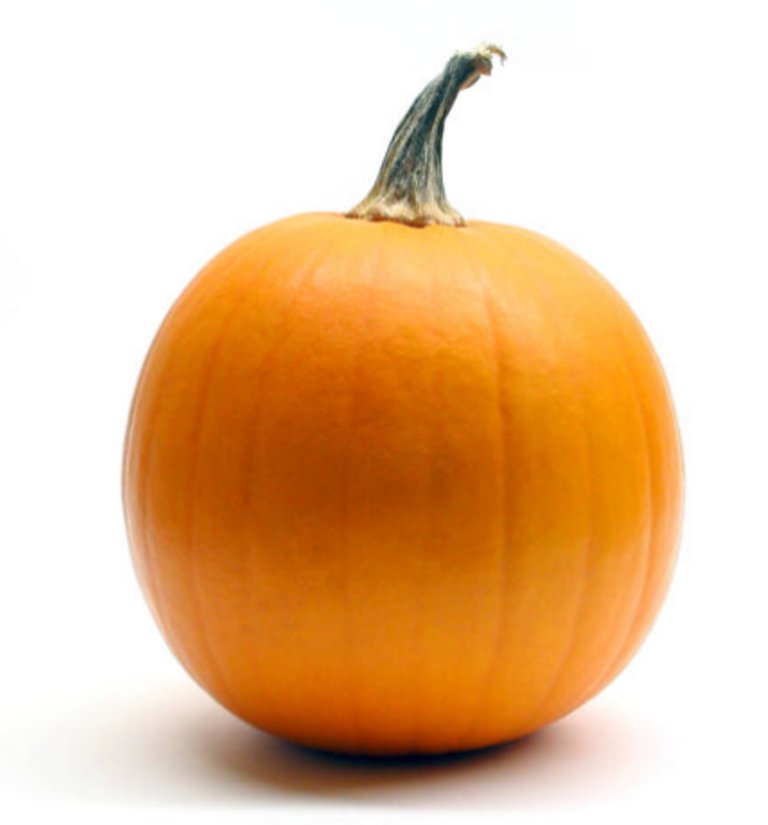 25 Pcs Cucurbita Maxima Seeds, Mammoth Gold Pumpkin Vegetable Seeds