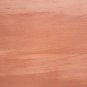 Guinea Pig Prison House Halloween Play Shelter Hide Out Castle Hideaway Hutch