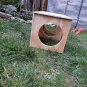 Rabbit Guinea Pig Secret Peep Shed 2-Chamber Hideout Tunnel House Small Animal