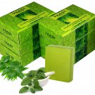 Vaadi Herbals Alluring Anti-Ageing Therapy Neem & Tulsi Soap, 75 g x Pack Of 6