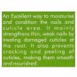 Nail & Cuticle Oil By Vaadi Herbals, For  More Stronger Nail ,Pack Of 3 x 10 ml