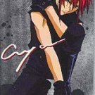 Weiss Kreuz AYA Phone Card