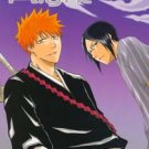 Bleach Shonen ai Doujinshi IchigoXUryuu