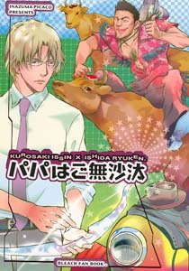 Bleach Shonen ai Doujinshi IsshinXRyuuken