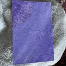 Purple Flower
