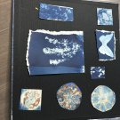 Cyanotype  scraps