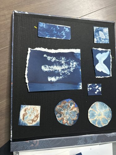 Cyanotype  scraps