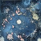 Cyanotype print 3