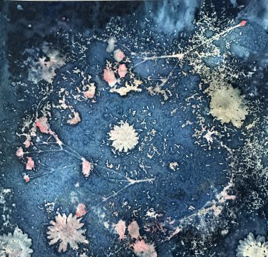 Cyanotype print 3