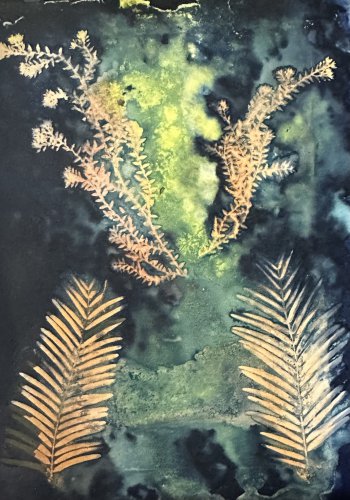 Cyanotype 4