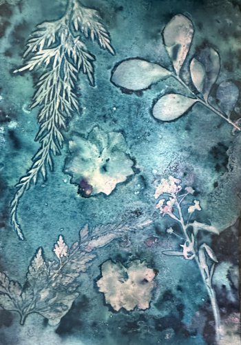 Cyanotype
