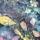 Colorful cyanotype