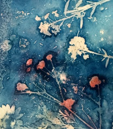 Cyanotype 8