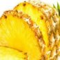 Ananas Comosus Plant 2.5" Tall Elite Gold Pineapple Live Plant
