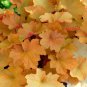1 Live Potted Plant Heuchera Caramel Villosa Orange Heat Coral Bells Plant 2.5" Pot