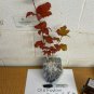 4"Pot 1 Plant Live Old Fashion Snowball Viburnum Viburnum Opulus Roseum 6"