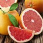2" Grapefruit Plant Toronja Rosada Pink Grapefruit Live Tree Plant