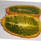 5 Pcs Seed Kiwano Horned Melon, Cucumis metuliferus Seed fo Planting