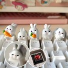 1Pc Chubby Bunny Keycaps, Kawaii Rabbit Keycaps, Cuteness Rabbit Keycaps, Bunny with Carrots Keycaps