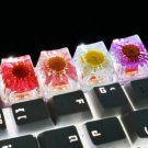 Chrysanthemum Dry Flower Keycaps, Beautiful Floral Keycaps, Stunning Dry Flower Keycaps for Nature L